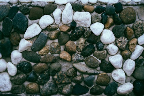 Close-Up Shot of Rocks
