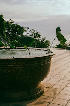 A serene view of lotus plants in a ceramic pot, set against a tiled floor and a tranquil sunset backdrop.