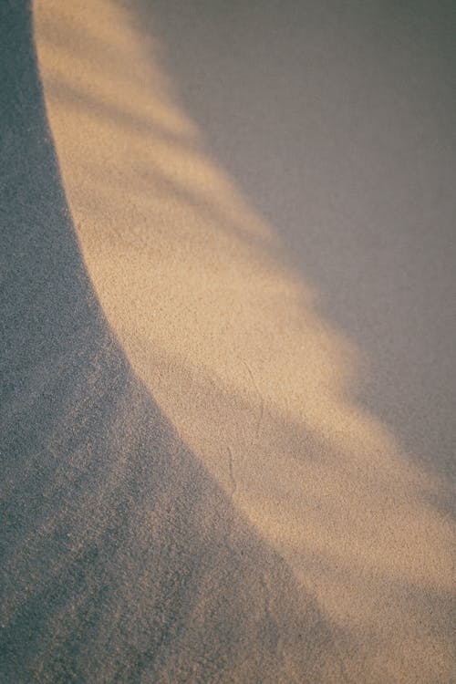 Gratis arkivbilde med nærbilde, sand, strand