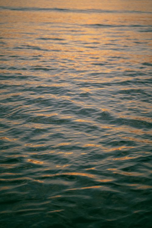 Free Tranquil ocean waves reflecting the golden hues of a sunset creating a peaceful atmosphere. Stock Photo