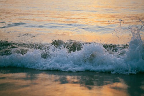 dalga, deniz, kıyı içeren Ücretsiz stok fotoğraf