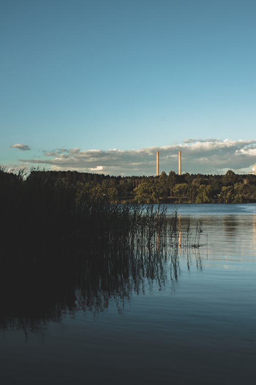 Ilmainen kuvapankkikuva tunnisteilla järvi, luonto, puut