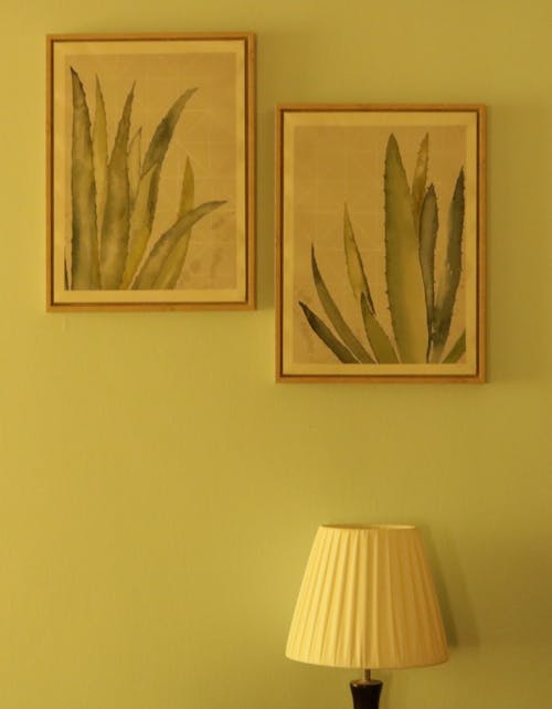 Two Paintings Hanging on the Wall Above a Lamp