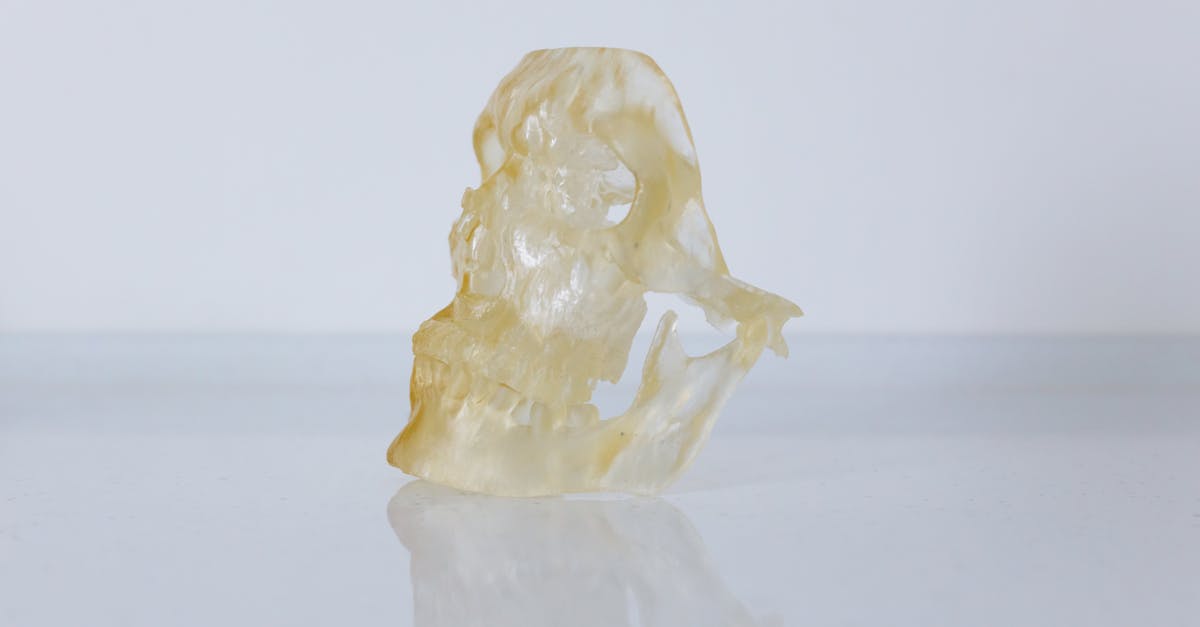 南大教育系打造3D列印市集 學生全程實作從創作到展出