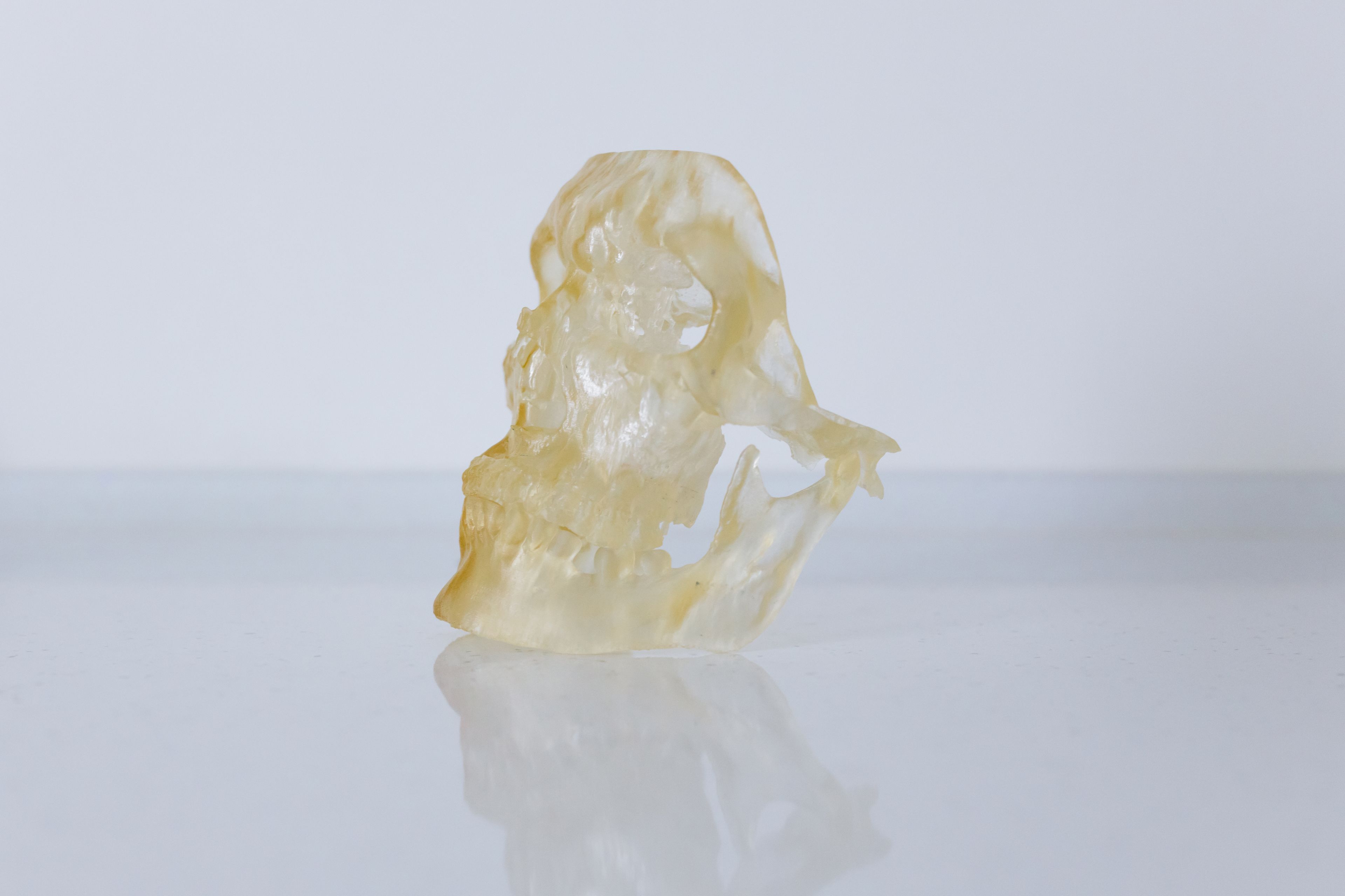 Translucent Resin Study Piece