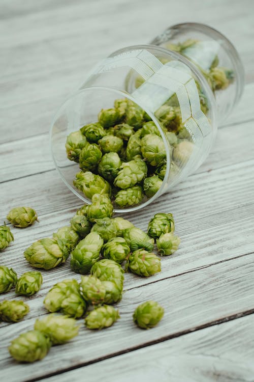 Free Beer Hops in a Glass on Wooden Surface Stock Photo