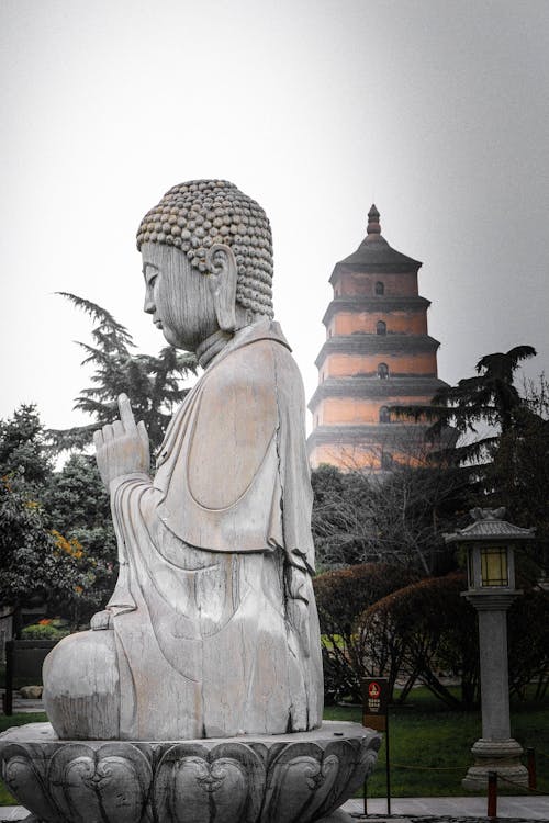 Free stock photo of buddha temple