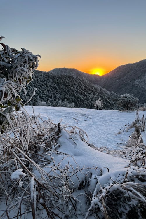 Free stock photo of beautiful landscape, early sunrise, frosty Stock Photo