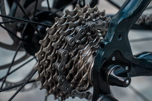 Detailed view of a bicycle's metal gear mechanism showcasing its intricate design.