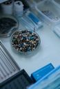 Dental Tools in Plastic Container
