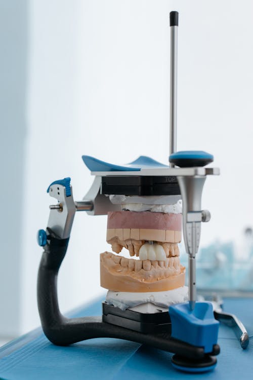 Free Close-Up Shot of a Denture Being Fitted in a Dental Equipment Stock Photo