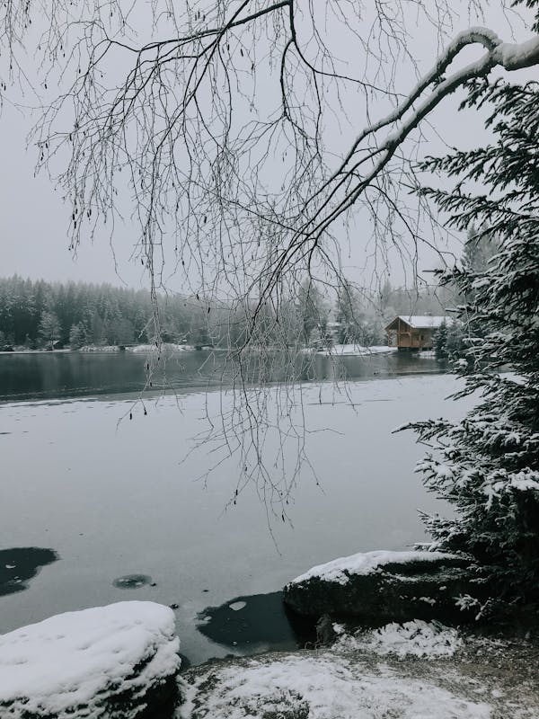 Free stock photo of bewölkt, bewölkter tag, cold