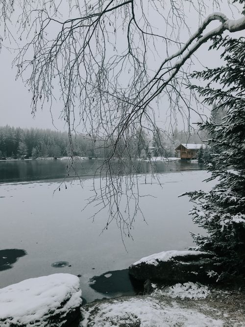 Free A serene winter scene at Fichtelberg featuring snow-covered trees, a frozen lake, and a distant cabin. Stock Photo