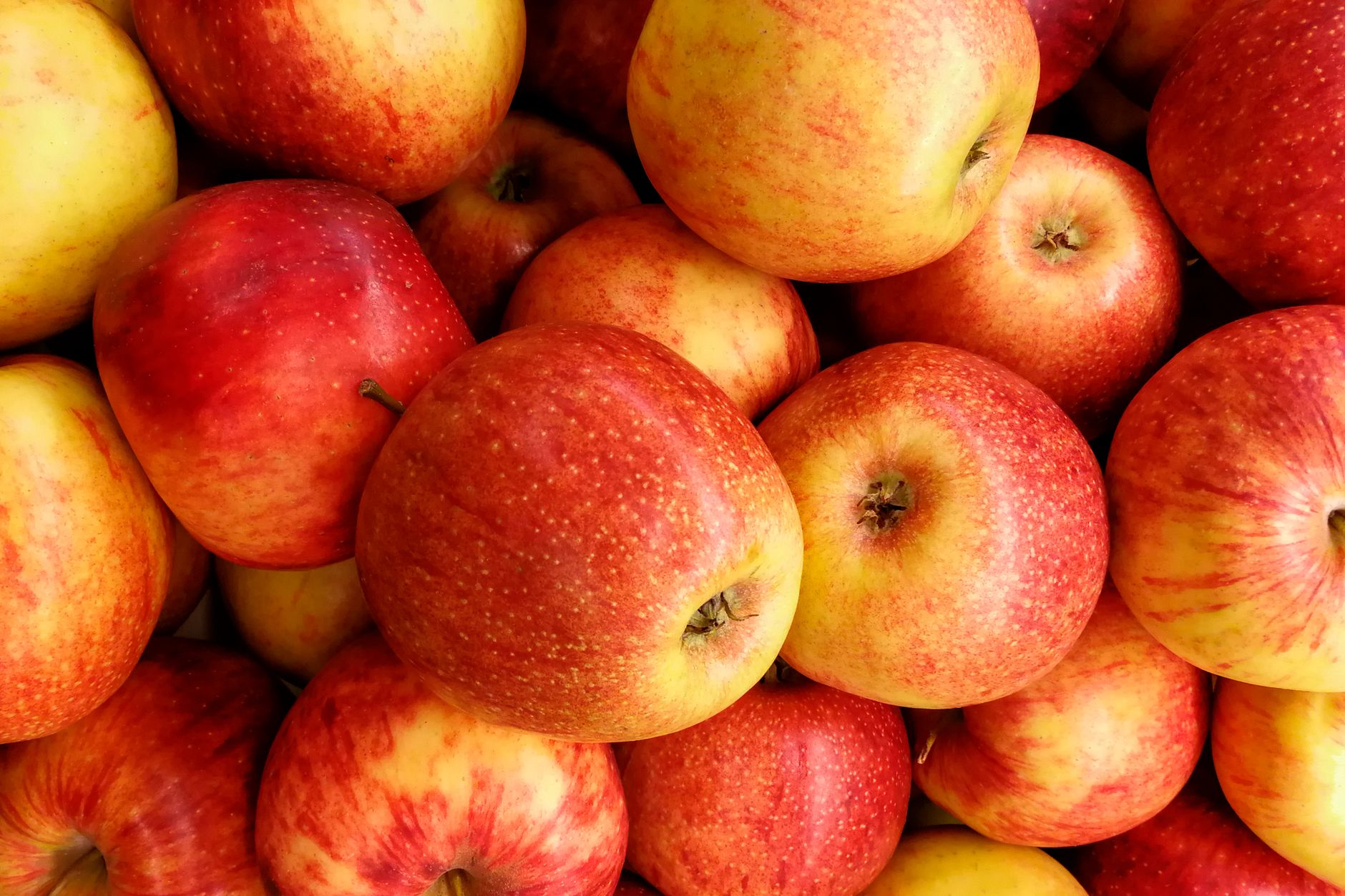 Assorted fresh apples in a basket showing variety of sizes and colors