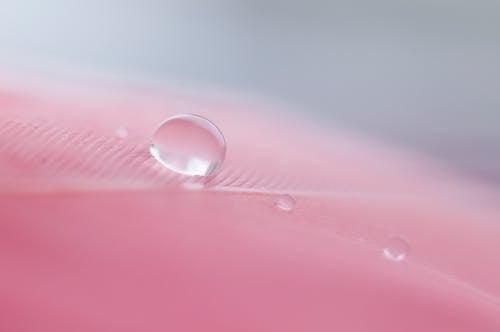 A Droplet of Water on a Pink Surface 