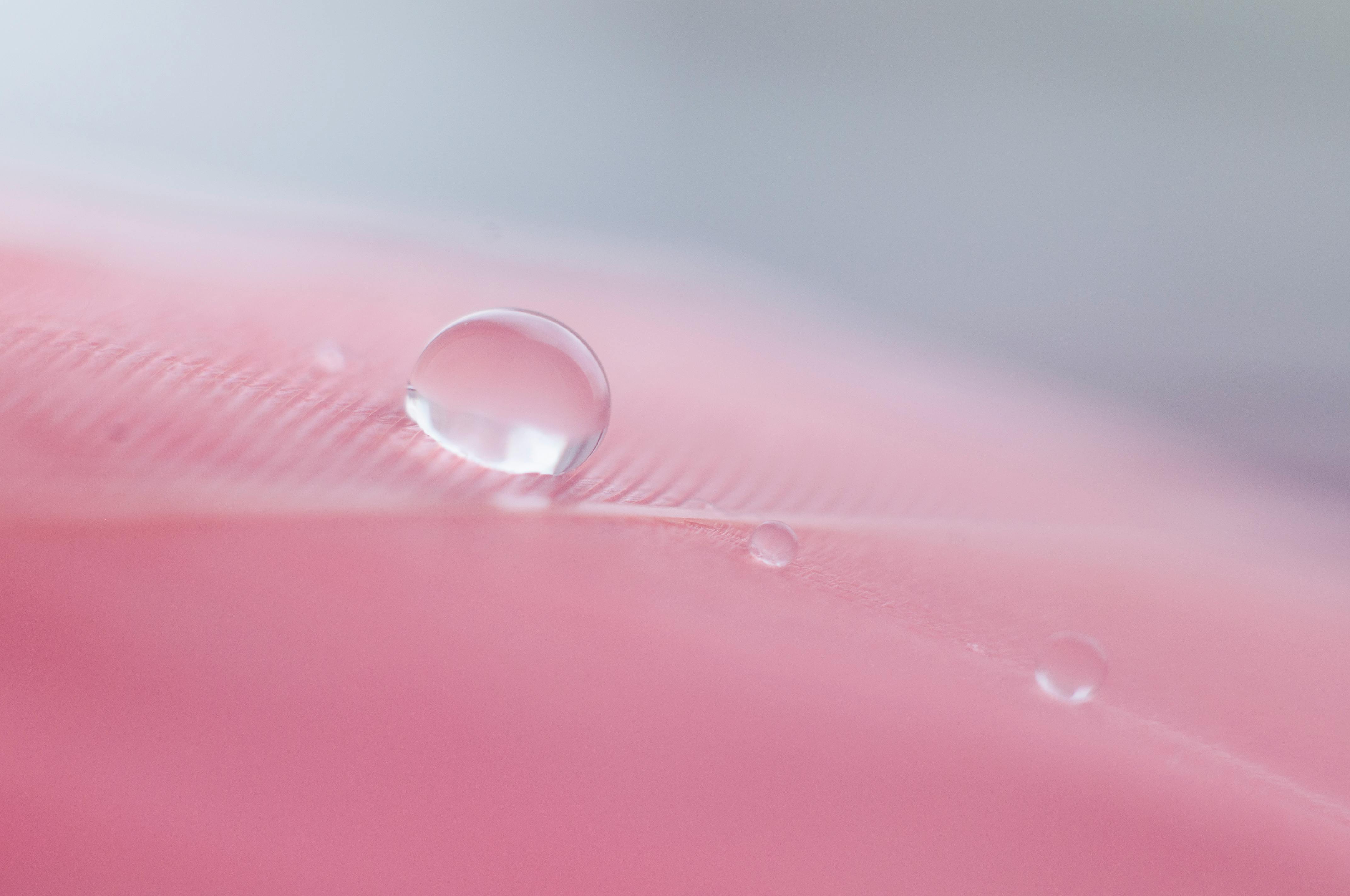 Pink Water Droplet, Have always wanted to capture an image …
