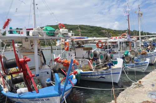 Free Vibrant fishing boats docked at a picturesque harbor against lush green hills. Stock Photo