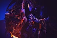 Person Wearing a Feather Costume