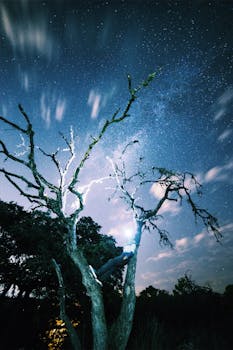 长时间在夜空下观星，银河系和人都在树上