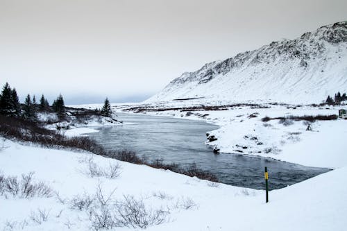 Yellow and Black Pole Near River