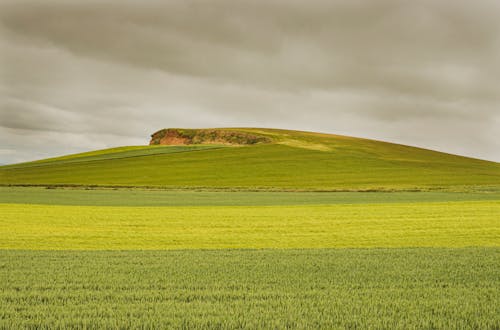 Green Grass Field Under Cloudy Sky