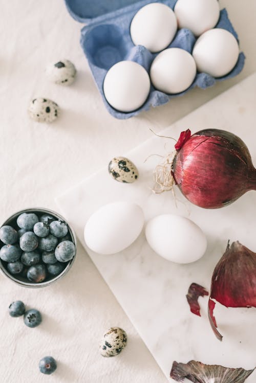 Foto profissional grátis de alimento, amoras, arredondar