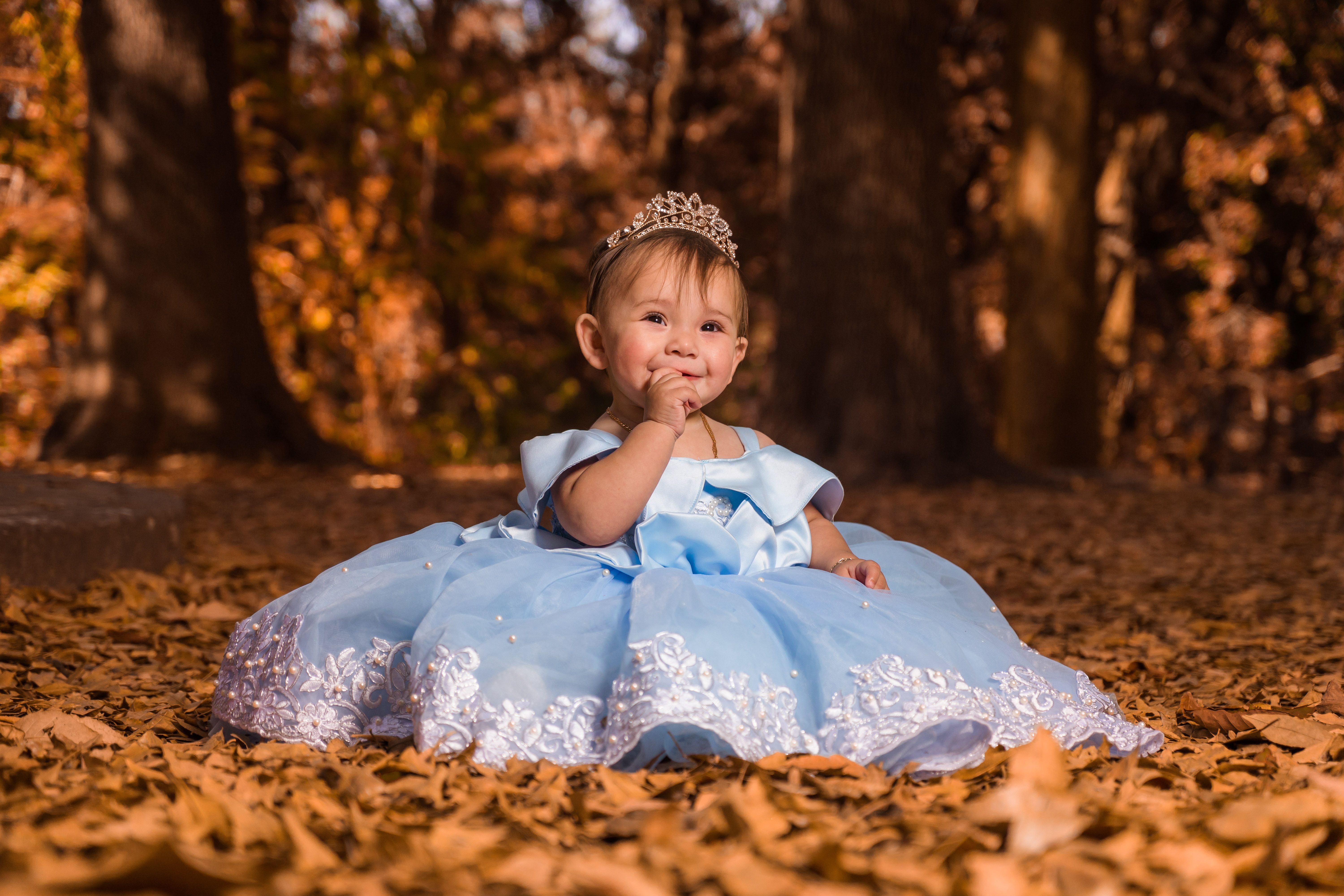 A Girl in Blue Gown Sitting on Fallen Leaves · Free Stock Photo