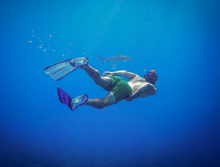 Man Swimming With Shark