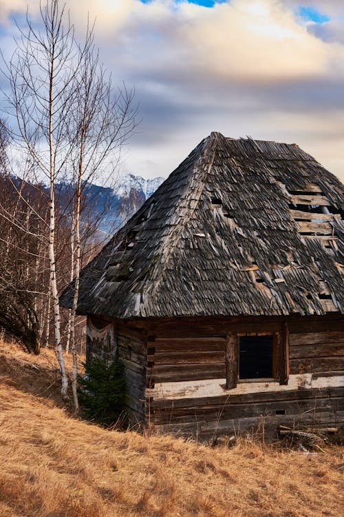 An Exterior of a Wooden Cabin