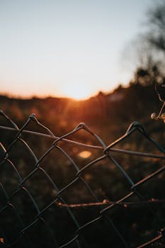A beautiful sunrise seen through a chain-link fence over a peaceful field, creating a warm and tranquil atmosphere.