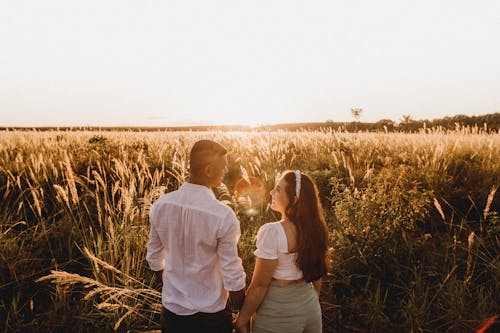 High angle back view of diverse couple holding hands standing in meadow with cereal grass and looking at each other with love