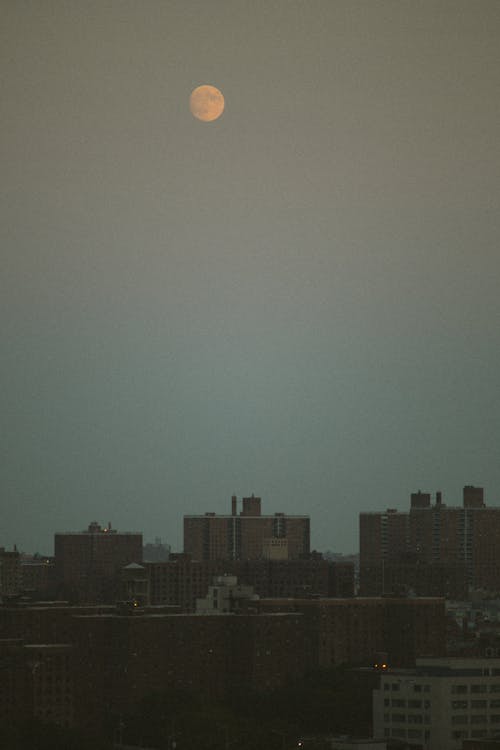 City Skyline during Night Time