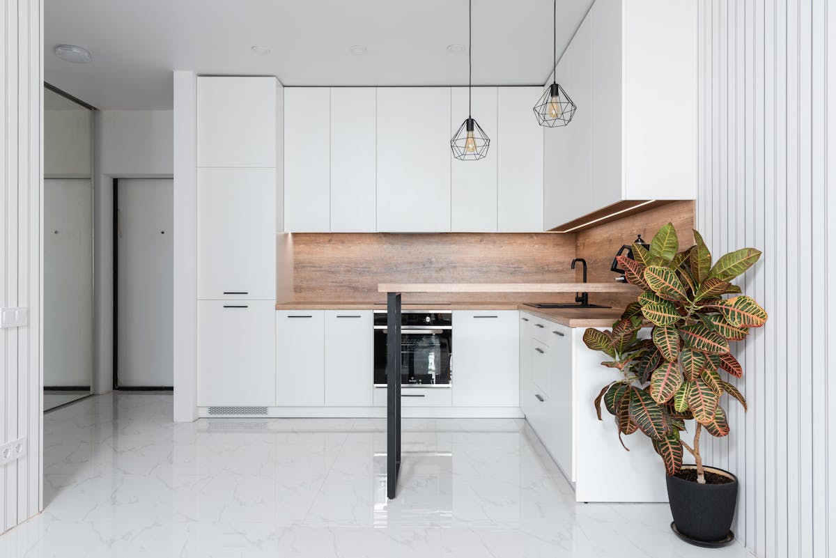 Interior of contemporary white kitchen decorated with potted fire croton plant
