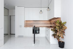 Interior of contemporary white kitchen decorated with potted fire croton plant