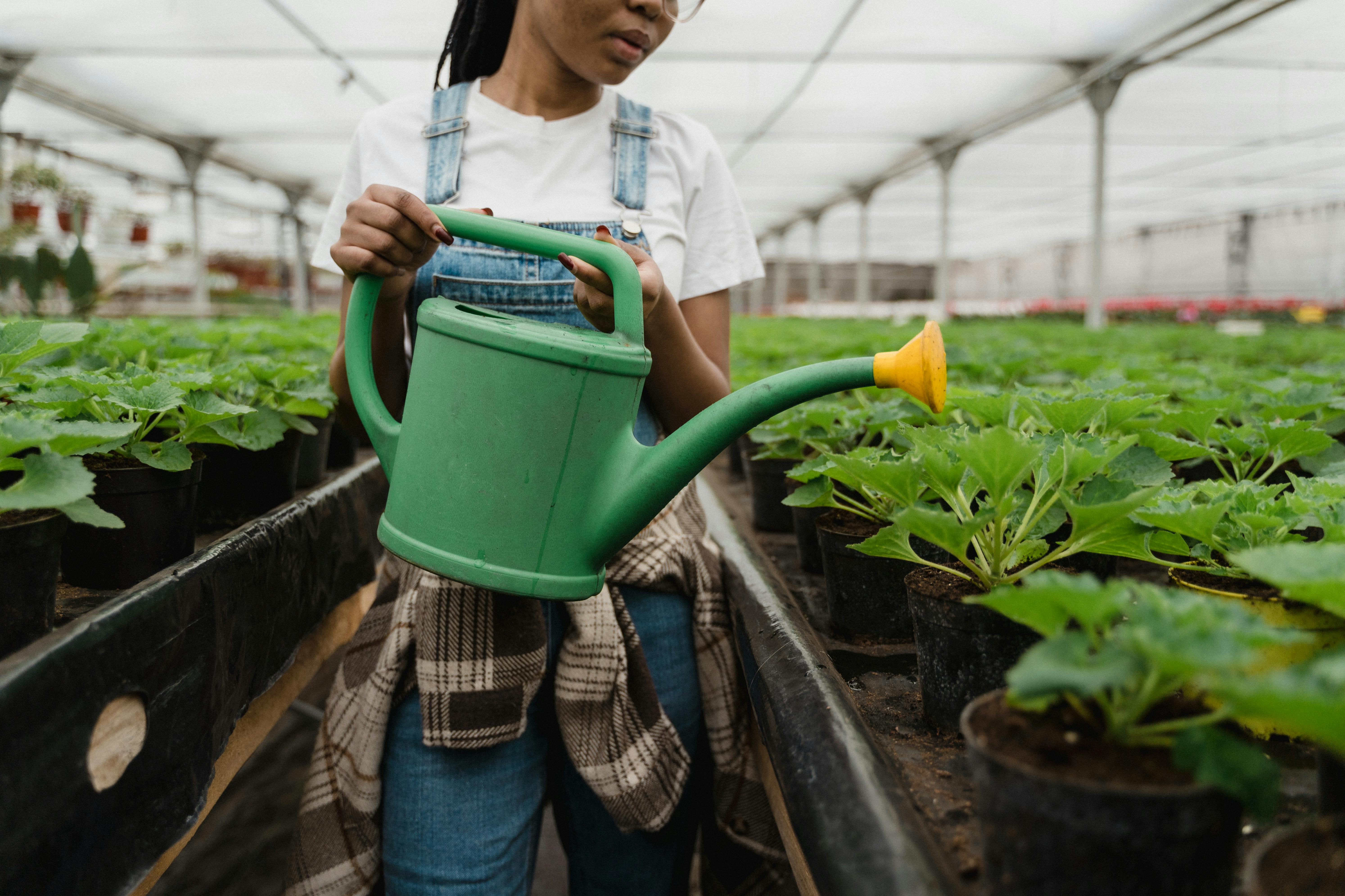 Brouette en Permaculture : Astuces de Maintenance et d'Entretien