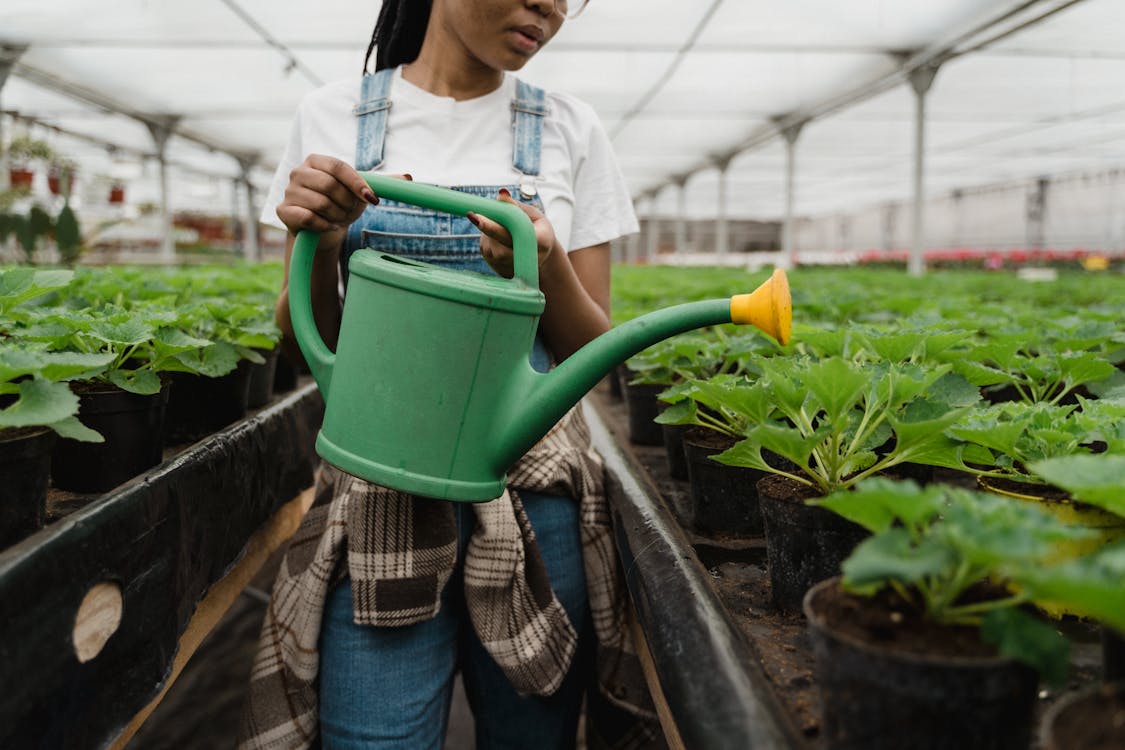 Free A Girl Watering The Plants Stock Photo