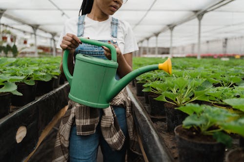 A Girl Watering The Plants