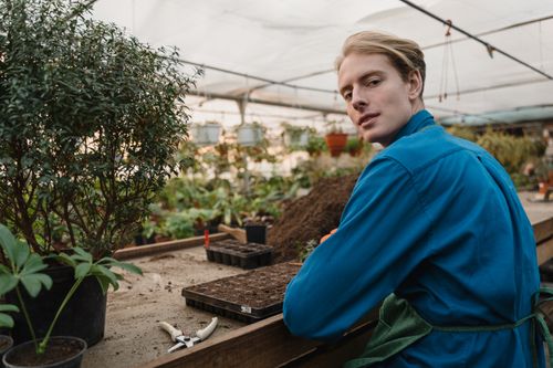 Free Young man in a greenhouse working with plants, wearing blue long sleeves. Stock Photo