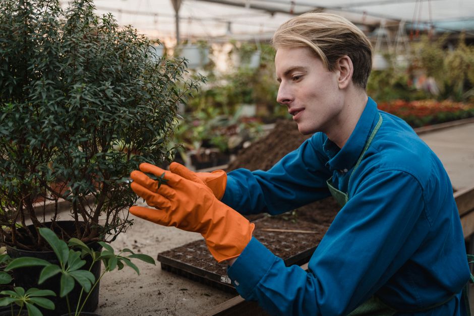 Votre Entreprise, Entretien d'espaces verts à Massy