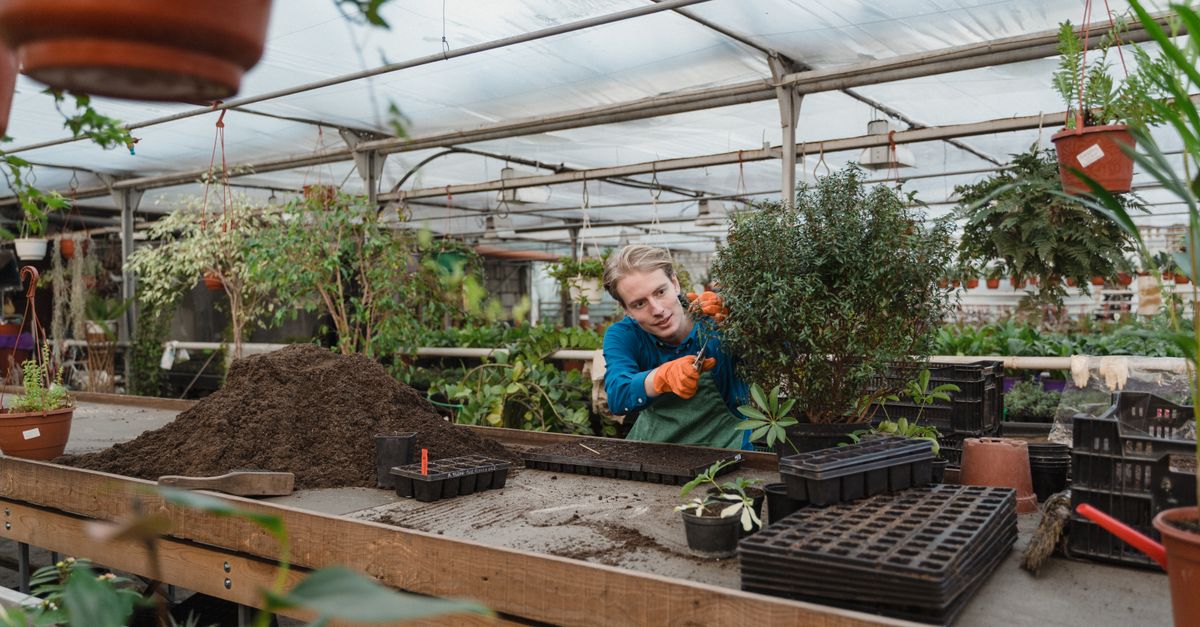 Come Preparare il Terreno per Coltivare un Giardino Perfetto