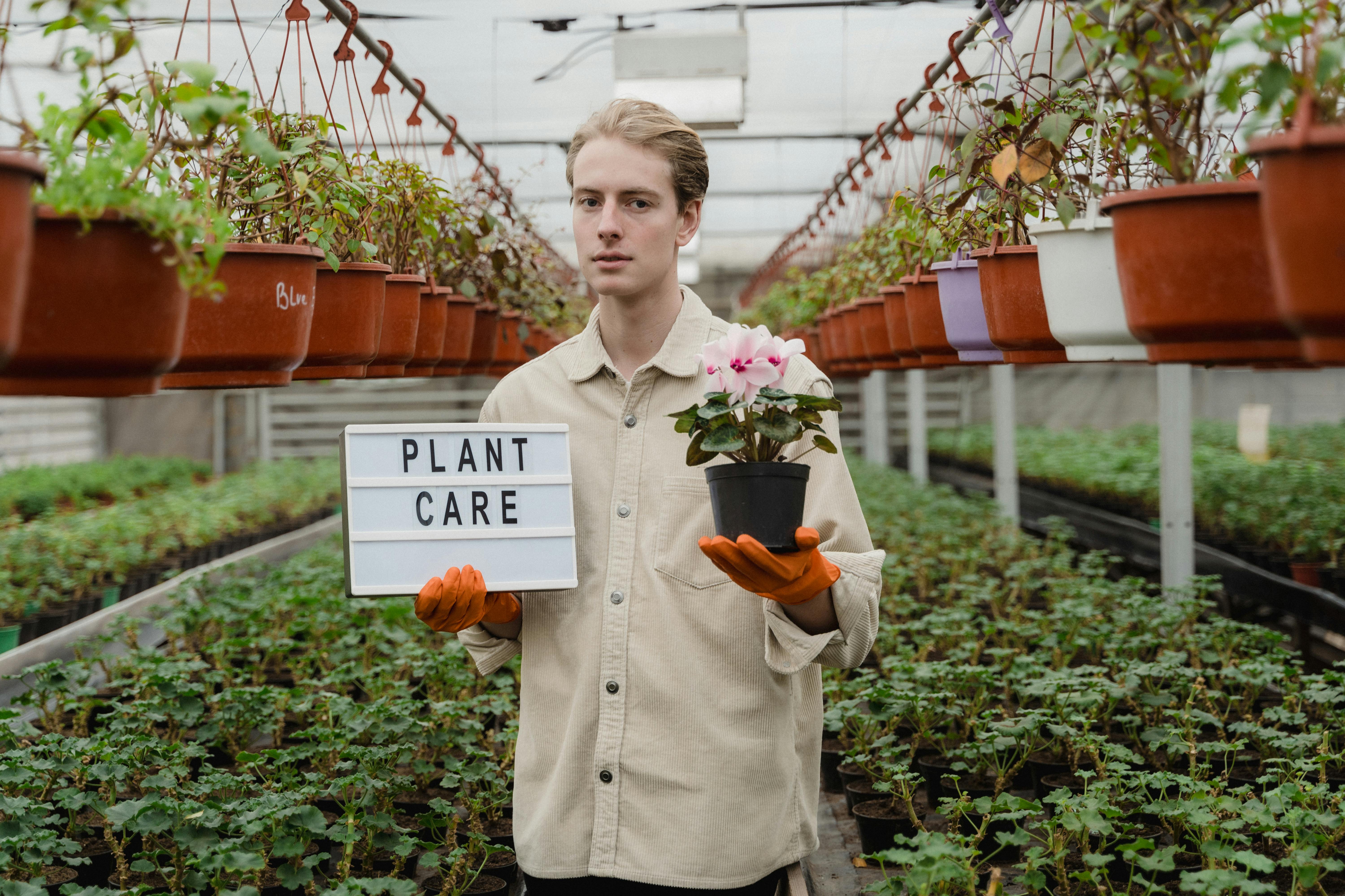 

<h3>Quand et Comment Transplanter</h3>
<p>La décision de <b>quand</b> transplanter vos boutures en mini-serre est cruciale. Il est essentiel d'attendre que les boutures aient développé des racines saines et assez robustes pour survivre à la transplantation. Identifier le bon moment implique une observation attentive des signes de croissance, tels que la formation de nouvelles feuilles ou tiges. Transplanter trop tôt pourrait compromettre la survie de la bouture, tandis que retarder ce processus pourrait affecter son développement <i>optimal</i>.</p>
<p>Le <b>comment</b> de la transplantation est tout aussi vital. Il faut manipuler les boutures avec un soin extrême pour éviter d'endommager les racines délicates et les nouvelles pousses. Utiliser des outils appropriés et stérilisés, et préparer à l'avance le nouvel emplacement dans la mini-serre, assurera une transition douce pour les boutures et favorisera leur adaptation rapide au nouvel environnement.</p>
<h3>Gérer le Stress des Plantes lors de la Transplantation</h3>
<p>La transplantation peut être un processus stressant pour les boutures. Gérer ce <b>stress</b> est essentiel pour assurer une reprise rapide et une croissance continue après la transplantation. Des techniques comme le durcissement, qui implique d'adapter progressivement les boutures aux conditions extérieures, peuvent être bénéfiques. Il est également important d'assurer des conditions environnementales stables au sein de la mini-serre, comme la température et l'humidité, pour aider les boutures à s'adapter à leur nouvel environnement.</p>
<p>Maintenir une routine régulière d'arrosage et d'alimentation, adaptée aux besoins spécifiques de chaque type de bouture, est également crucial pour gérer le stress post-transplantation. Les <i>nutriments</i> essentiels doivent être fournis pour encourager la croissance vigoureuse des boutures et les aider à surmonter le stress de la transplantation.</p>
<h3>Arrosage et Soins Post-Transplantation</h3>
<p>L'arrosage post-transplantation doit être méticuleusement géré pour assurer la survie et la croissance des boutures. Une attention particulière doit être accordée à la fréquence et à la quantité d'eau, pour prévenir à la fois la déshydratation et la sur-humidification. Un <b>arrosage</b> approprié encouragera les racines à s'établir dans le nouvel environnement et soutiendra le développement de la bouture.</p>
<p>En plus de l'arrosage, d'autres soins post-transplantation, tels que le paillage ou l'application d'<i>engrais</i>, peuvent être nécessaires pour nourrir les boutures et les protéger des éléments extérieurs. Ces soins supplémentaires contribuent à créer un environnement favorable dans lequel les boutures peuvent prospérer après la <b>transplantation</b>.</p>
<p>