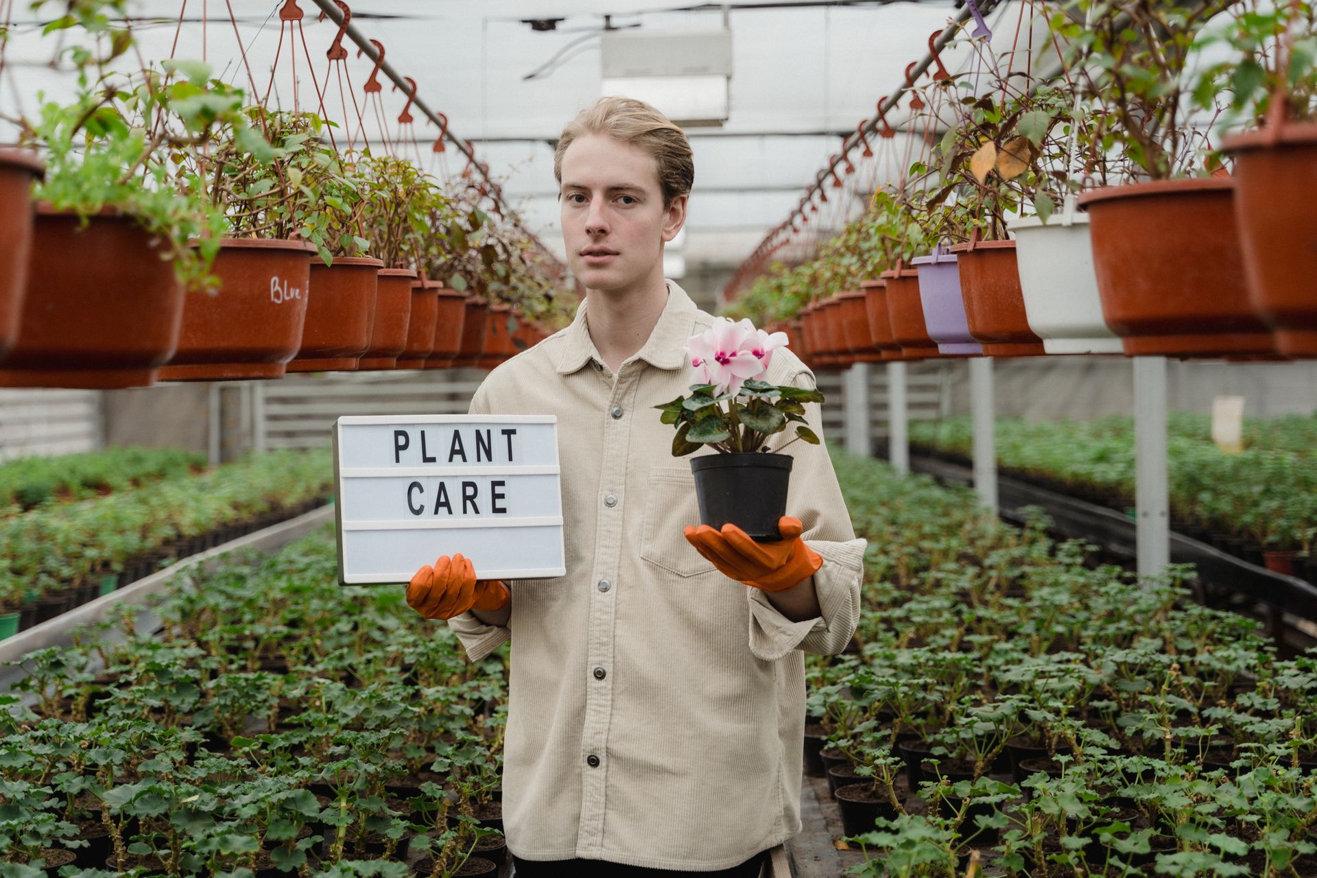 Gardener in a greenhouse holding a plant and a sign, emphasizing plant care.