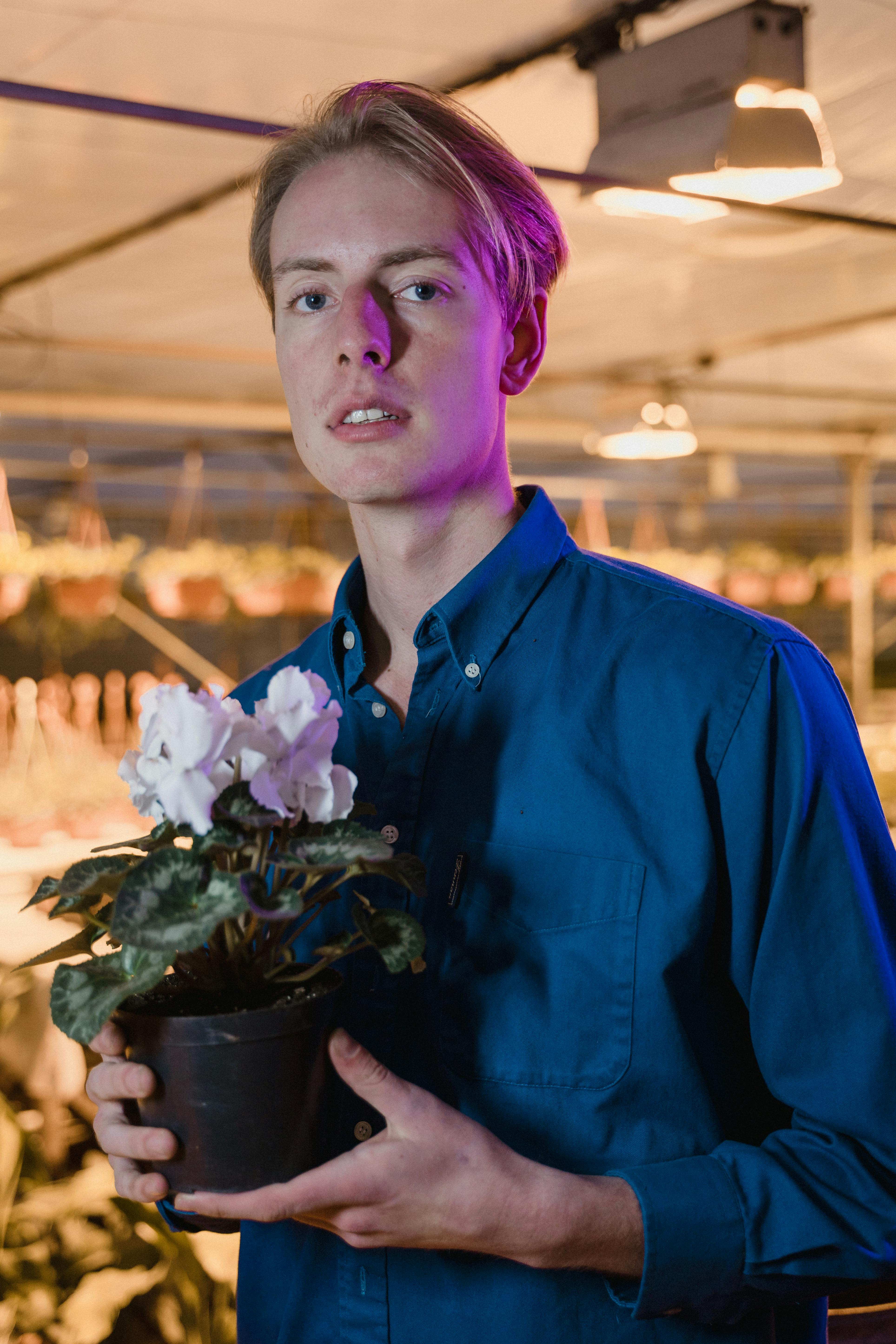 Are plant sterols good for prostate?