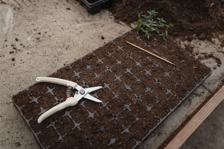 Pruner On Top Of A Seedling Tray 