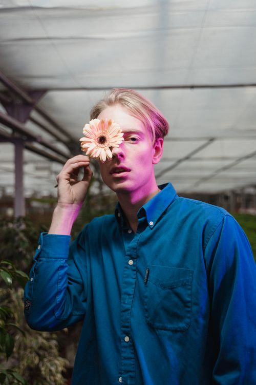 Free Fashionable man in blue shirt poses with a Gerbera Daisy in a greenhouse. Stock Photo