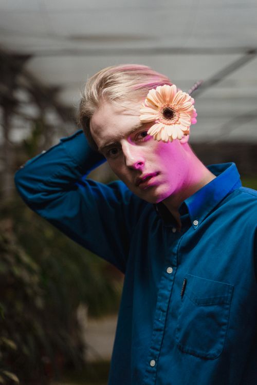 Free A man in a blue shirt poses with a flower on his face under pink lighting. Stock Photo