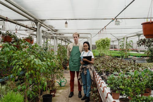 Man and a Woman inside a Greenhouse