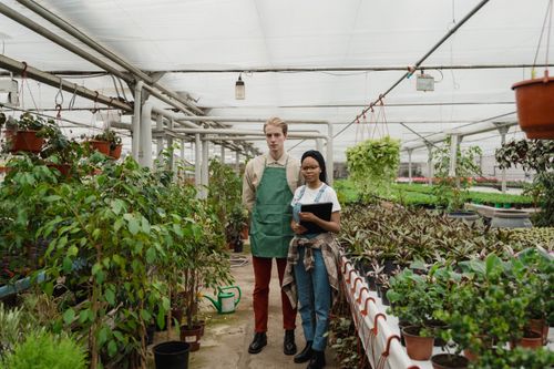Free Two individuals managing diverse plants in a well-organized greenhouse. Stock Photo