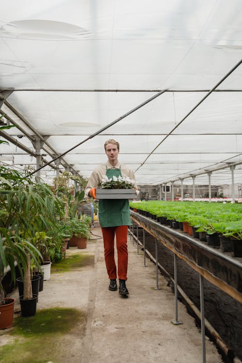 Man Carrying a Tray with Flowers