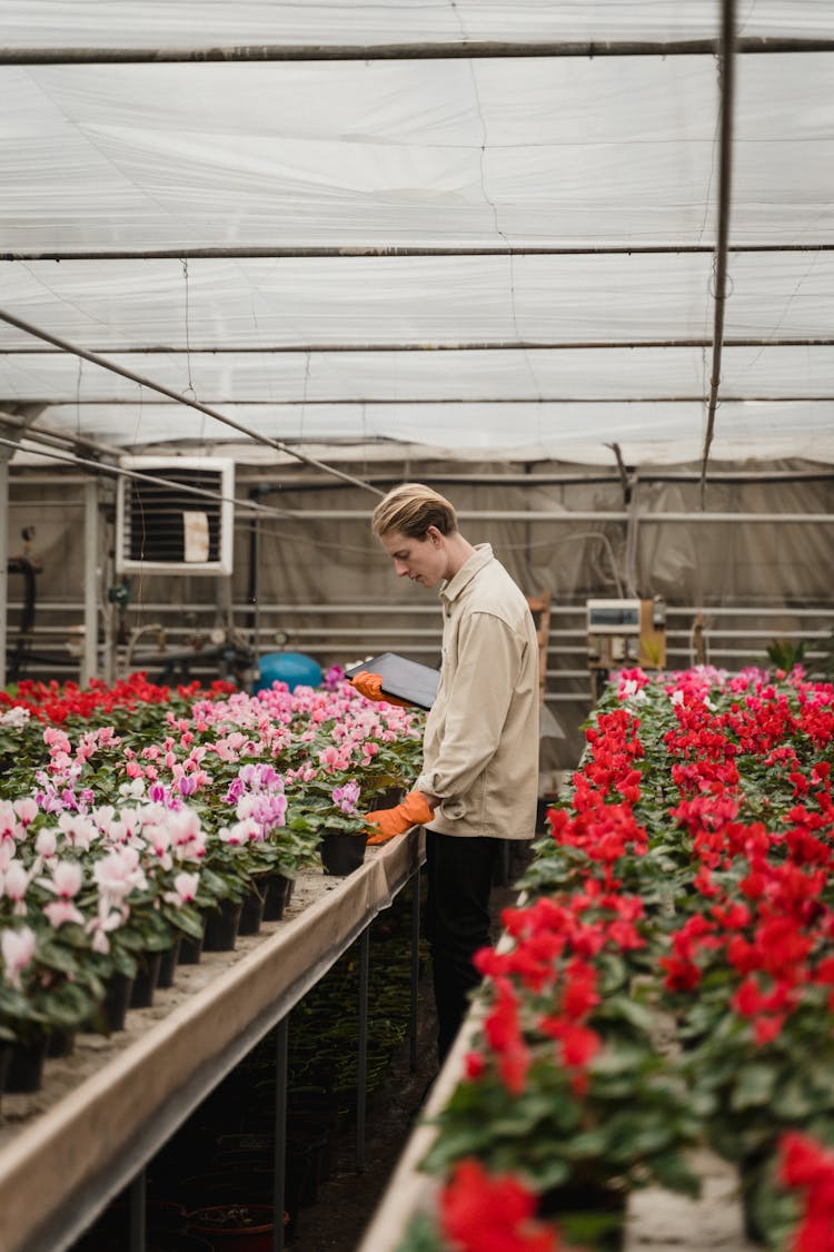 Man Standing Beside The Flowering Plants